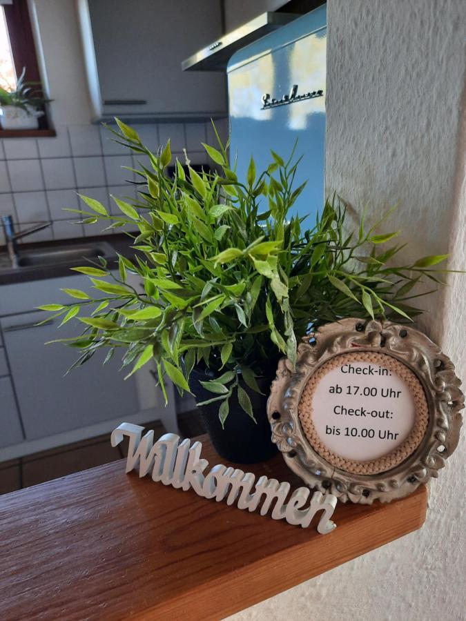 Schoene Einzimmer Wohnung Zwischen Bodensee Und Allgaeu Neukirch  Exterior photo